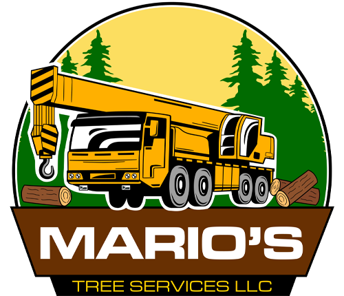 Mario’s Tree Services LLC